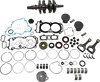 Engine Rebuild Kit - Polaris Wr00053