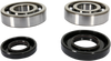 Prox Crank Bearing And Seal Kit - Yamaha 23.Cbs23001