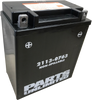 Parts Unlimited Agm Battery - Ctx12Aabs