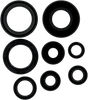 Moose Racing Motor Seals 822173Mse