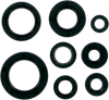 Moose Racing Motor Seals 822106Mse