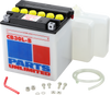 Parts Unlimited Battery Yb30L-B