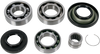 Moose Racing Differential Bearing/Seal Kit - Honda - Rear 25-2067