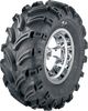 Tire - Swamp Fox - Front/Rear - 25X12-9 - 6 Ply 0952-3521