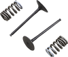 Prox Valve And Spring Kit - Intake - Suzuki 28.Sis3338-2