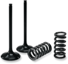 Prox Valve And Spring Kit - Intake - Kawasaki 28.Sis4336-2