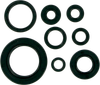 Moose Racing Motor Seals 822111Mse