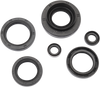 Moose Racing Motor Seals 822366Mse