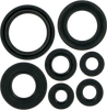 Moose Racing Motor Seals 822197Mse