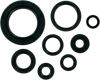 Moose Racing Motor Seals - Honda 822110Mse
