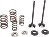 Moose Racing Valve And Spring Kit M96-96460