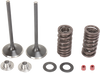 Moose Racing Intake Valve Kit M30-31200