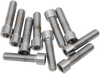 Drag Specialties Bolts - Socket-Head/Replacement - Smooth/Fine Thread - 5/16"-24 X 1-1/4" - 10 Pack