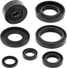 Moose Offroad Oil Seal Kit 822112Mse