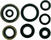 Moose Racing Motor Seals - Suzuki 822125Mse