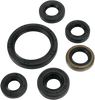 Moose Racing Motor Seals 822334Mse