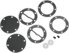 Fuel Pump Repair Kit 451455