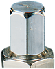 Valve Stem - Bolt-In - Chrome