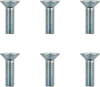 Moto-Master Bolts - Rotor - M6 X 20 12009-Pu