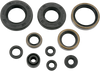 Moose Racing Motor Seals 822257Mse