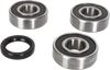 Pivot Works Wheel Bearing Kit - Rear Pwrwk-S30-000