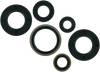 Moose Racing Motor Seals 822185Mse