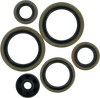 Moose Racing Motor Seals 822187Mse