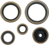 Moose Racing Motor Seals - Husaberg/Husqvarna/Ktm 822269Mse