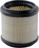 Air Filter - Polaris 12-94280