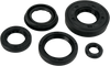 Moose Racing Motor Seals 822261Mse