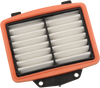 Drag Specialties Oem-Style Replacement Air Filter - Victory