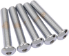 Drag Specialties Bolts - Button Head/Replacement - 3/8"-16 X 2-1/4" - 5 Pack