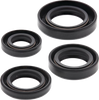 Moose Offroad Oil Seal Kit 822163Mse