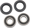 Pivot Works Wheel Bearing Kit - Front Pwfwk-H53-000
