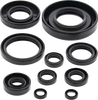 Moose Offroad Oil Seal Kit 822174Mse