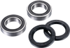 Factory Links Axle Bearing Kit - Rear Ara-Y-011
