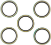 Cometic Mainshaft Seal - Big Twin C9513