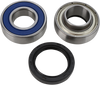 All Balls Chain Case Bearing And Seal Kit 14-1024