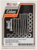 Colony Pump Mounting Kit - Chrome 8740-19