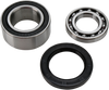 All Balls Chain Case Bearing And Seal Kit 14-1011
