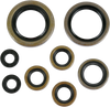 Moose Racing Motor Oil Seals - Ktm 822274Mse