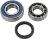 All Balls Chain Case Bearing And Seal Kit 14-1060