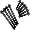 Feuling Oil Pump Corp. Fastener Kit - Cam Plate/Oil Pump - Hp+/Race Series - M8 8022