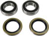 Pivot Works Wheel Bearing Kit - Rear Pwrwk-T04-521