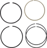 Hastings Piston Rings - 883 2M5069