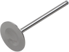 Del West Intake Valve Dw-Rmz250-Iv04