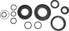 Vintco Oil Seal Kit - Kawasaki Kos017