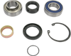 All Balls Chain Case Bearing And Seal Kit 14-1039