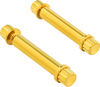 Arlen Ness Bolts Kit Titanium 12Pt Footpeg Gold 300-805