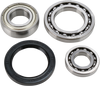 All Balls Chain Case Bearing And Seal Kit 14-1042